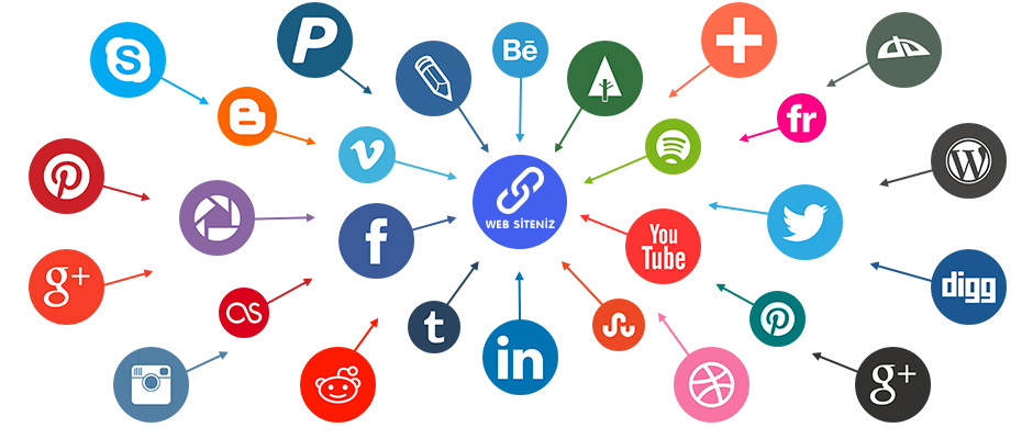 backlink web