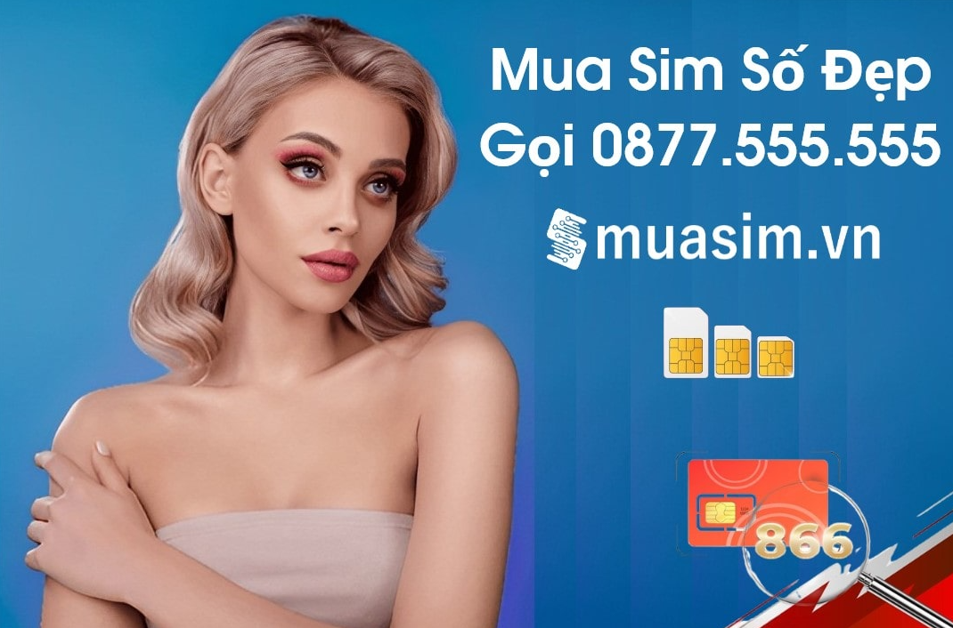 mus dim tứ quý ở đâu