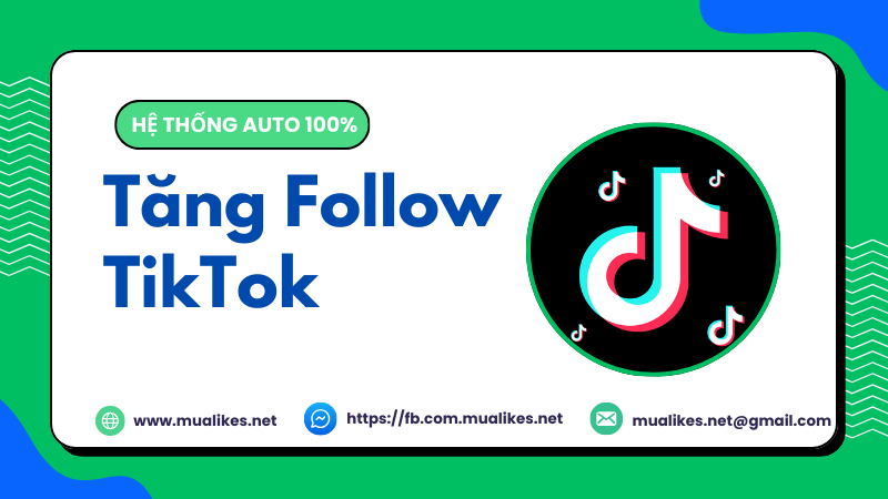 mua follow tiktok